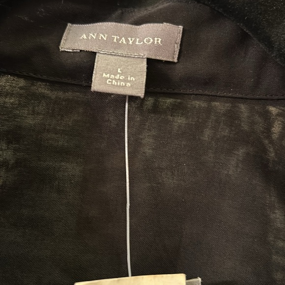 NWT Ann Taylor Sheer Long Sleeved Blouse with Ruffle Detail, size L - Picture 2 of 7